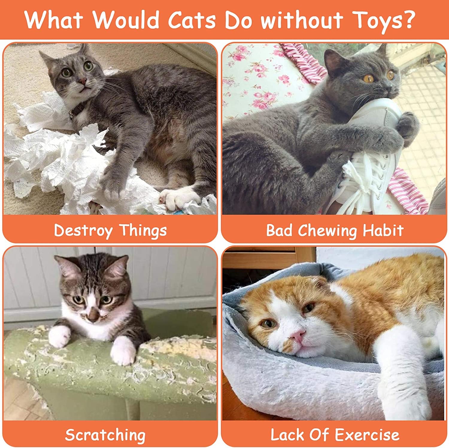 Catnip Toys - Interactive Cat Pillows, Chew Toys with Catnip for Indoor Cats and Kittens